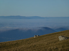 20151111 Rando Vercors Col de Montaud (116) al