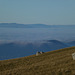 20151111 Rando Vercors Col de Montaud (116) al