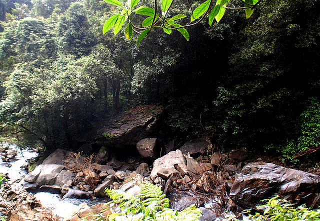 Bottom of the falls