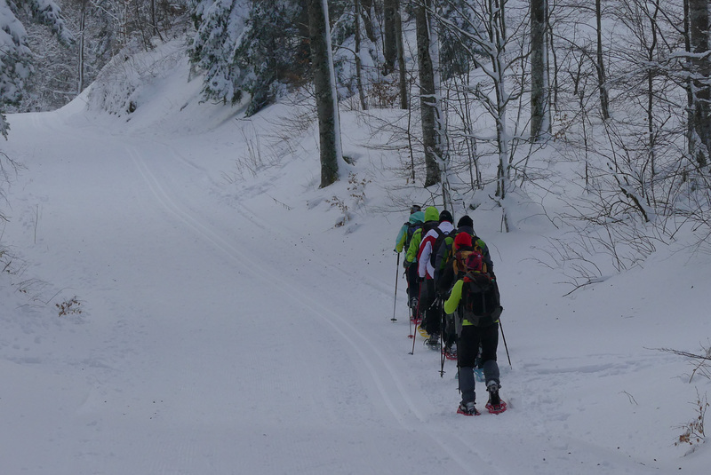 20170211 Raquettes Vercors sud Col de la bataille (7) al