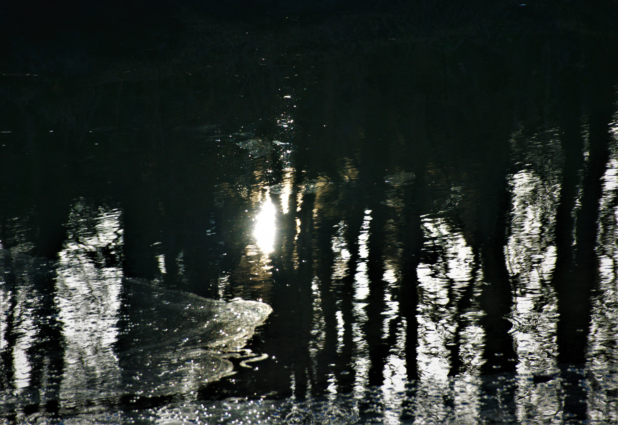 Reflection