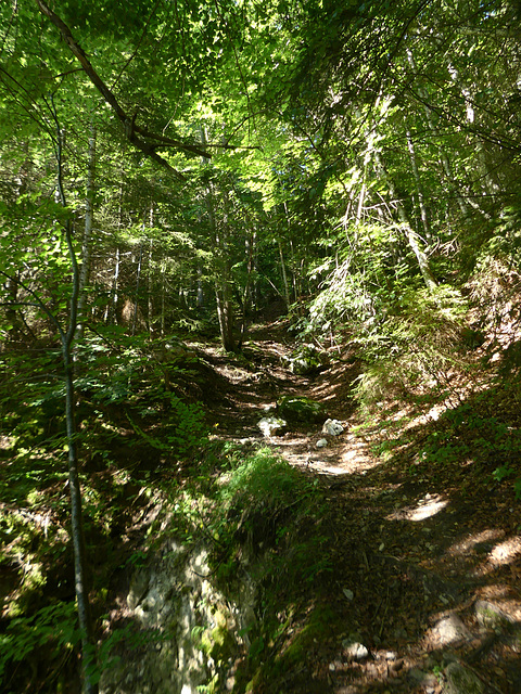 20250701 - 05 Chartreuse St Pierre d'Entremont (3)