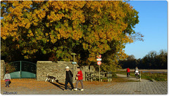 SAINTE GEMMES sur LOIRE