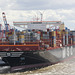 Containerriese MSC ANNA