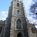 chelmsford cathedral, essex  (59)