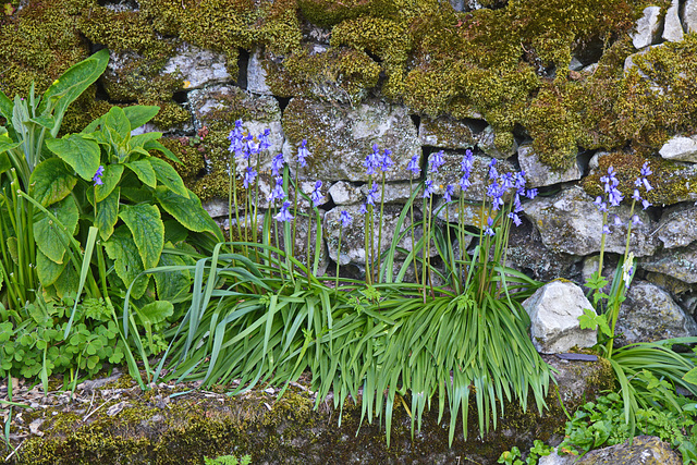 Stone wall