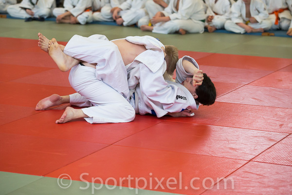 oster-judo-0362 17146680772 o