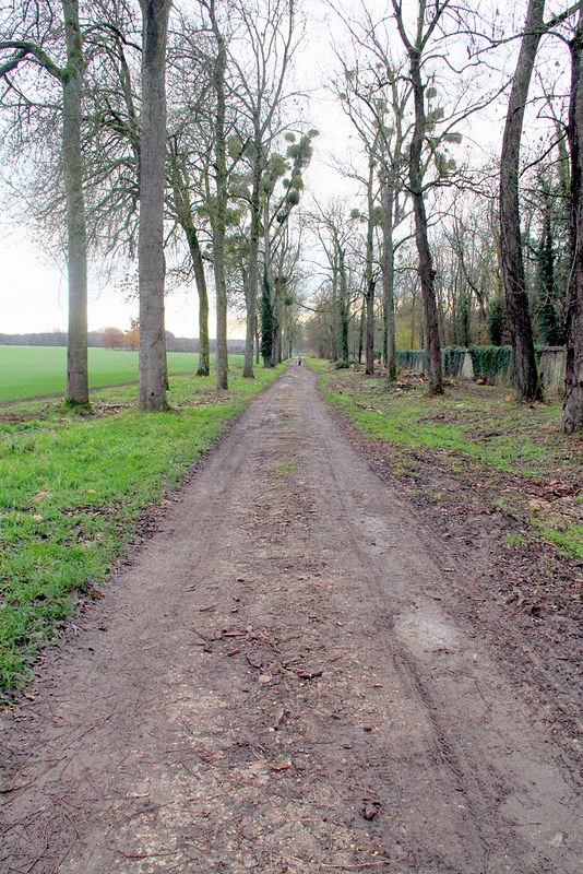 Chemin de l'étang d'Auneux - 6263