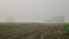 bins in a mist