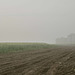 bins in a mist