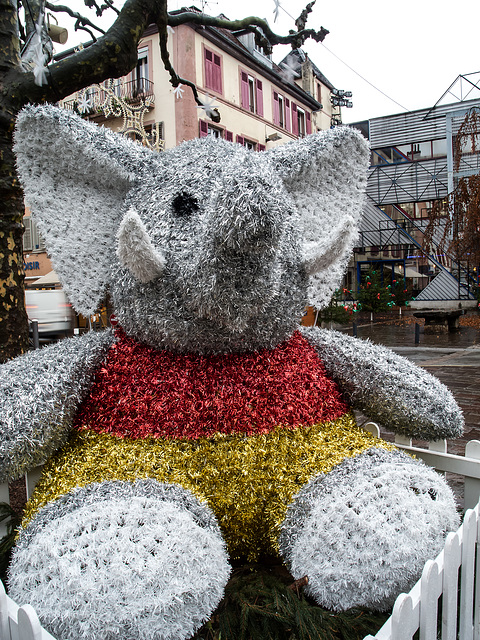 MONTBELIARD: Le marché de Noël 06