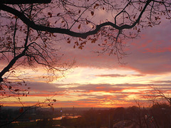 Sonnenuntergang über Dresden - sunsubiro sur Dresdeno