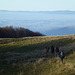 20151111 Rando Vercors Col de Montaud (118) al