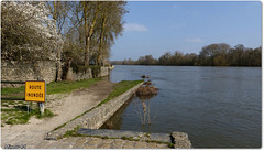 SAINTE GEMMES sur LOIRE