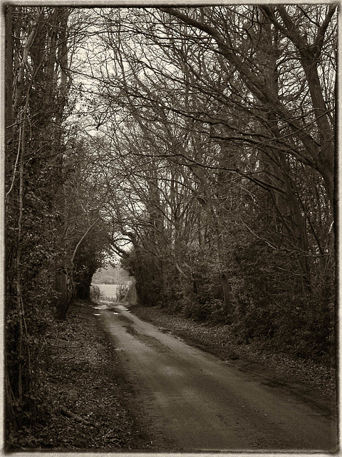 Jan 11: Country Lane (2)