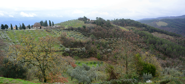 Italy, Umbrian Landscape in January