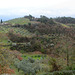 Italy, Umbrian Landscape in January