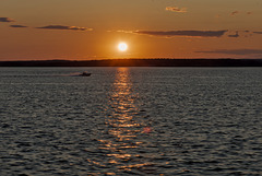 SunFlare06