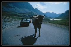 Albula pass  (Dia-Scan  1988)
