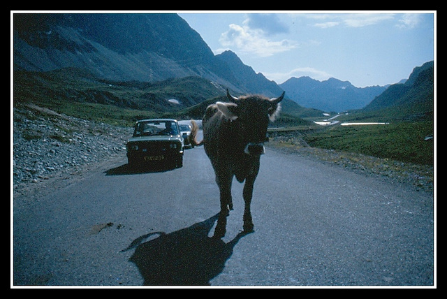 Albula pass  (Dia-Scan  1988)