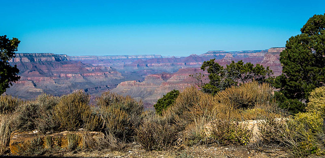 Grand Canyon set 219