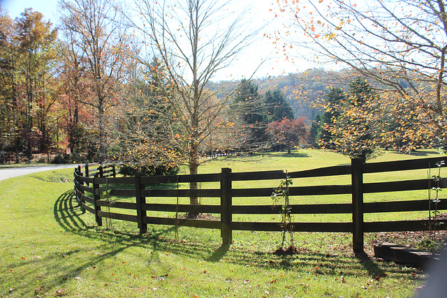 A Mountain FENCE.....:))   HFF from just inside North Carolina, USA  ( a short distance from our holiday Cabin )....Oct-2020