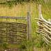 Viking's Fence HFF!