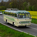 Omnibustreffen Sinsheim Speyer 2023 655