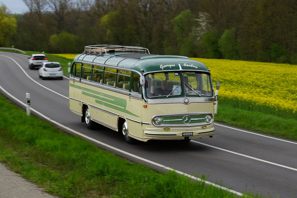 Omnibustreffen Sinsheim Speyer 2023 655