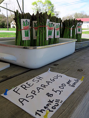 IMG 4998-001 Fresh Asparagus