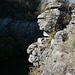 Скала левого берега каньона реки Горный Тикич