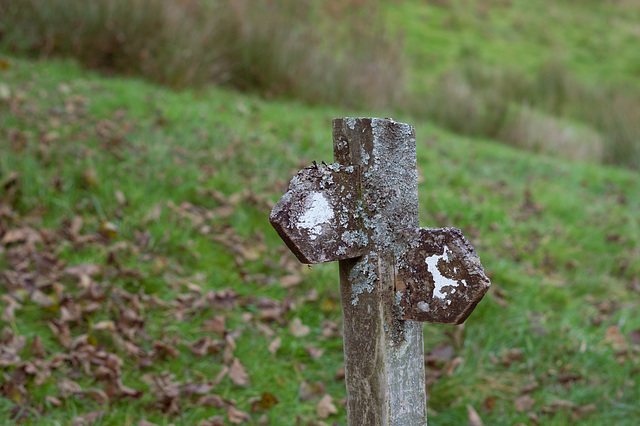 Grisedale this way