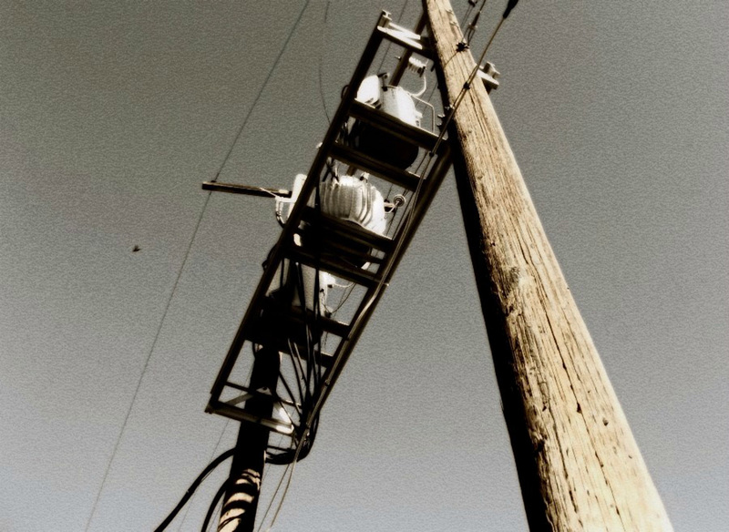 Bug zapper