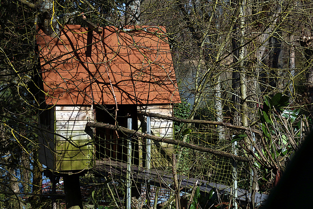 Une cabane dans les arbres , un rêve d'enfant