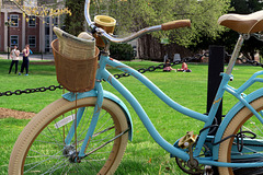 IMG 5002-001 Blue Bicycle
