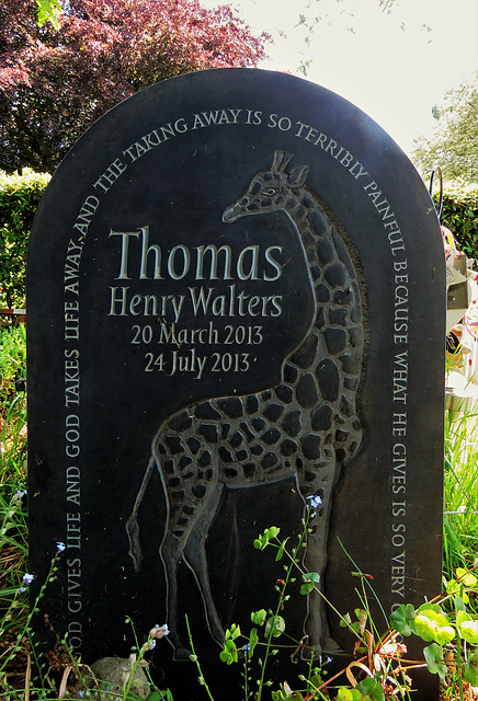 teddington cemetery, london