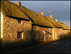 sunlit thatch in a stormy sky