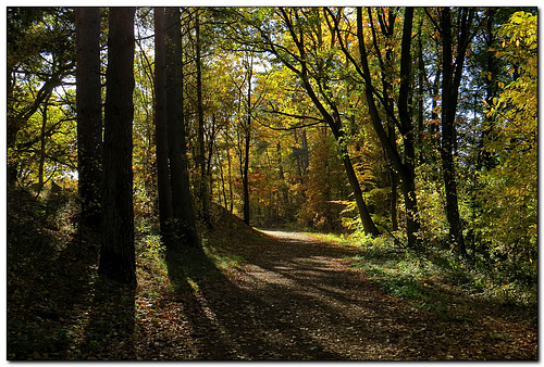 ipernity: Herbstweg - by Ur@nos