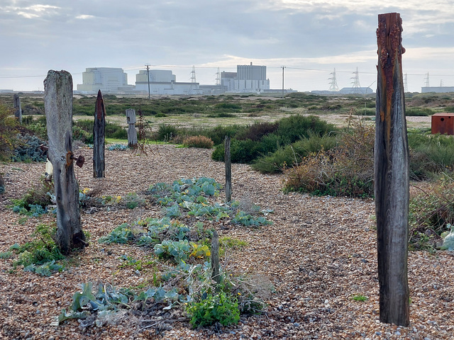 Derek Jarman's Garden