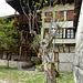 Bulgaria, In the Courtyard of the Rozhen Monastery