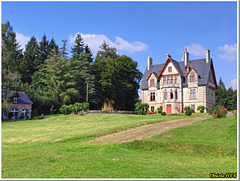 Au milieu de la forêt