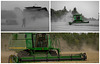 Harvest Collage