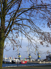 009 Am Hamburger hafen