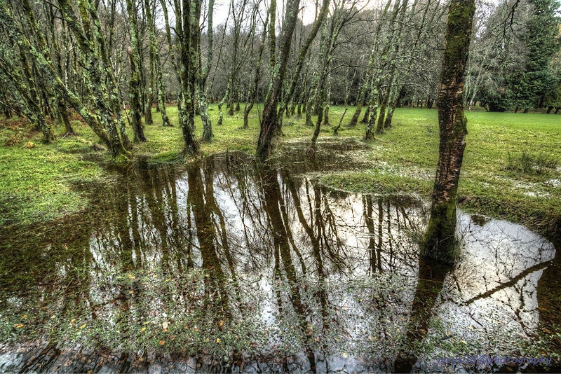 Glendalough 64