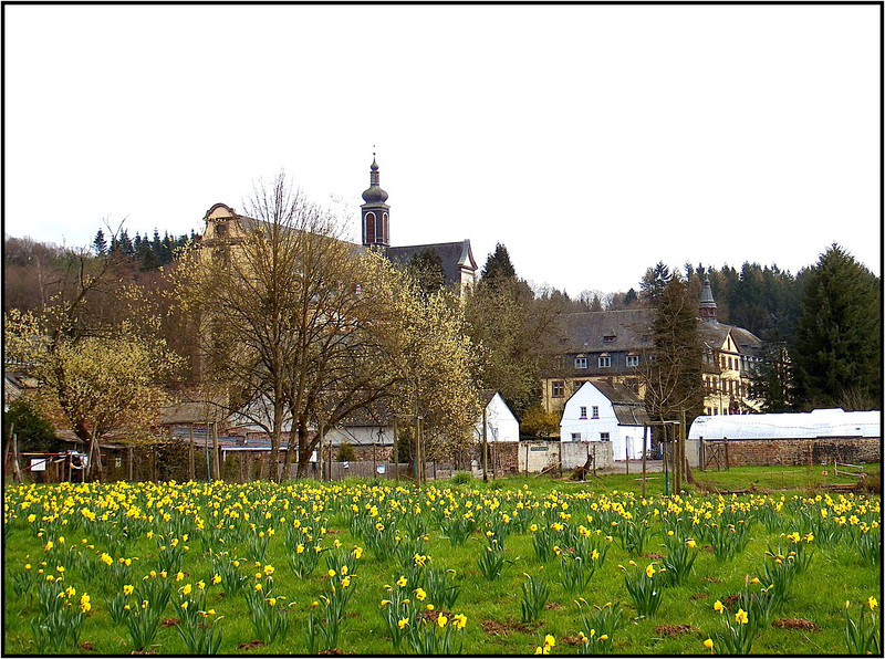 Zisterzienserabtei Himmerod, Eifel 013