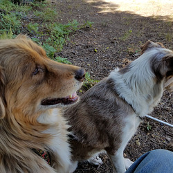 20190915 133703 20190915 133703