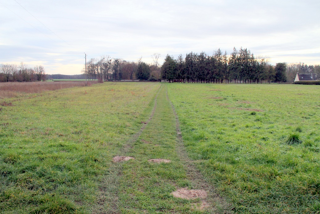 Chemin de la Marnière - 6252