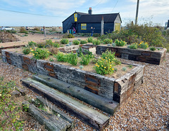 Derek Jarman's Garden