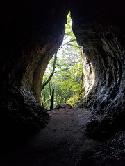 Auf der Suche nach dem "Buchenloch" IXX