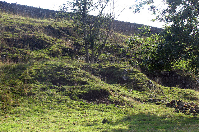 Perry Dale kiln